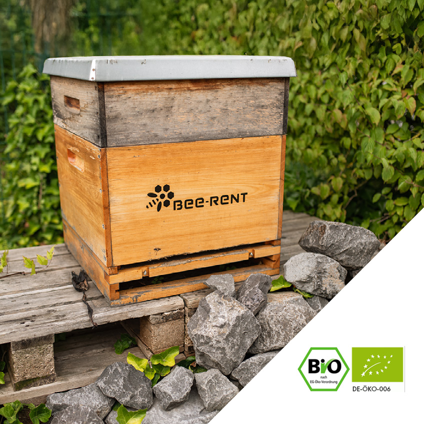 Holzkiste mit Bio-Siegel